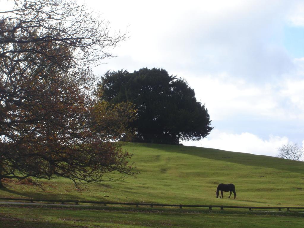 The Bothy Villa Lyndhurst Oda fotoğraf